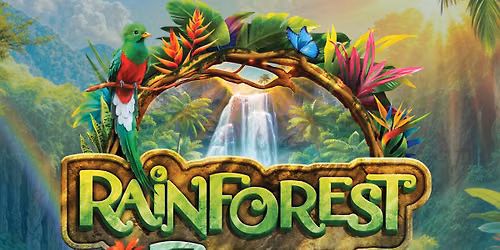 VBS 2026: Rainforest Falls