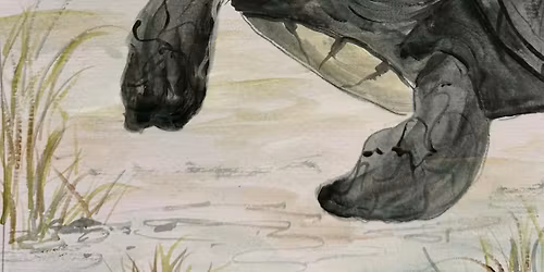 Sea Turtle Watercolor Workshop