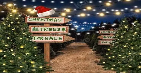 Christmas Tree Sale 11\/28-30