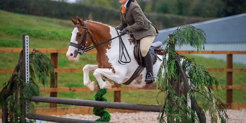 Aberhall Working Hunter Show with additional clear round classes 
