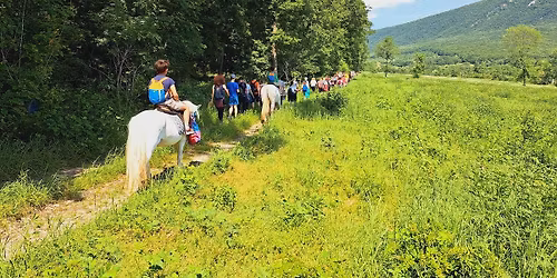 Maj\u00e1lis csal\u00e1di k\u00f6rt\u00fara-Sz\u00fcl\u0151k a val\u00f3di gyermekkor\u00e9rt