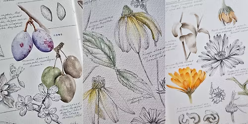 MEGTELT! Budapest - \u0150szi term\u00e9szet botanikai rajzol\u00e1s workshop  - 11.23.