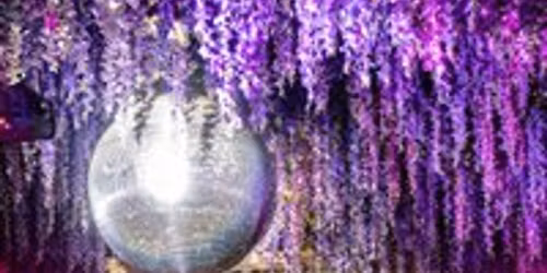 Mama's Friday w\/ George Davis All Night Long + Live Music