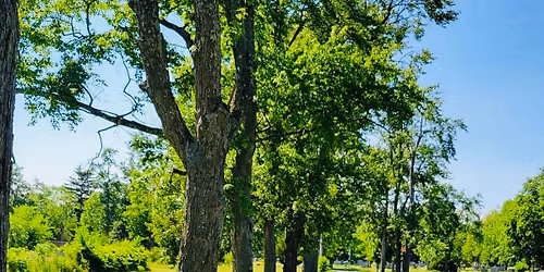 Steinmetz Park Guided Meditation & Peace Walk