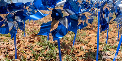 Pinwheel Festival & Resource Fair