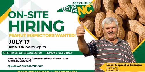 \ud83c\udf1f Now Hiring: Peanut Inspectors! \ud83e\udd5c