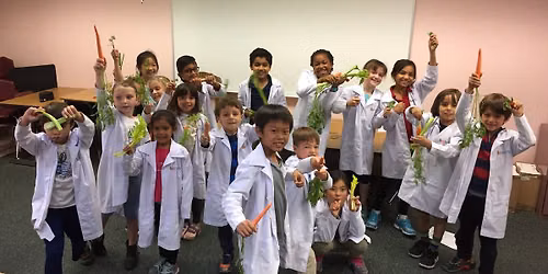 Biology Summer Camp | San Clemente: Food Science