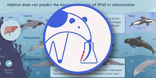 Workshop on designing effective graphical abstracts