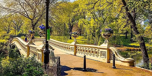 Central Park Social Walk For 50s+