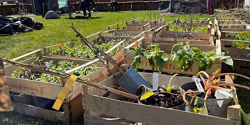 Havedag i Vestbyens Skovhave