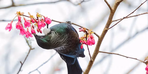 Sunday Service with Barbara Dixon Grant