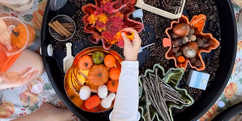 Little Lessons in the Park \ud83c\udf42\ud83c\udf41November\ud83c\udf41\ud83c\udf42