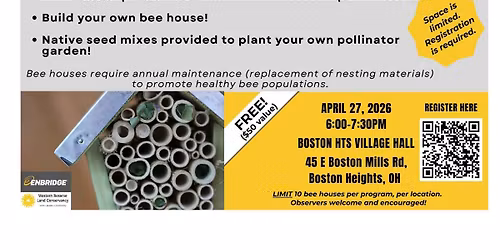 Buzzin' Bee House Build 