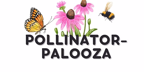 Pollinator-palooza!