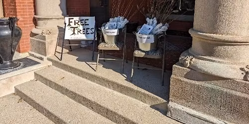 Arbor Week Tree Seedling Giveaway! 