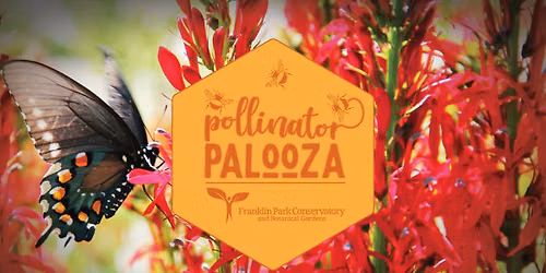 Pollinator Palooza 