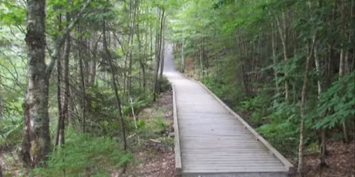 OLD COACH TRAIL WALK