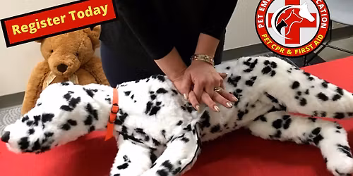 Pet CPR and First Aid Certification Gastonia, NC