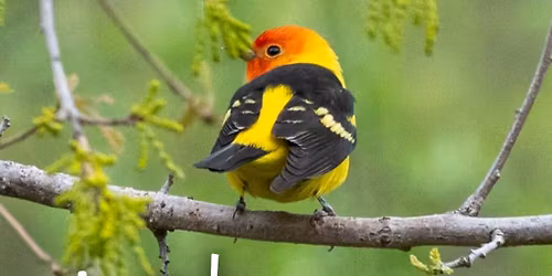 Book Signing with Kathy Bjornestad and Heidi Stefanich