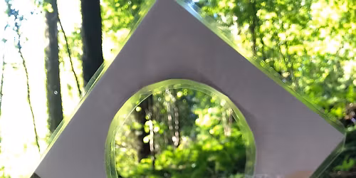 FREE Forest Bathing & Tai Chi Taster Session