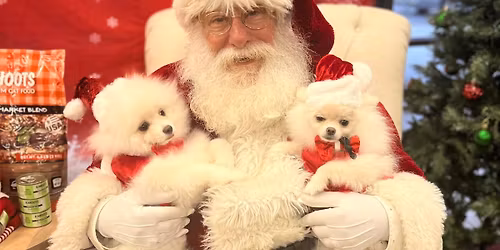 Pet Pics with Santa Claus! 