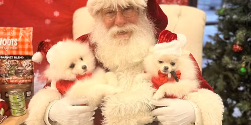 SANTA Paws at KAHOOTS Chino Hills