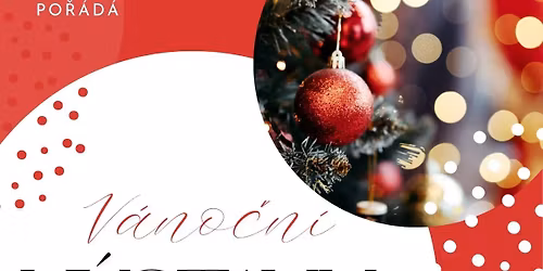 V\u00c1NO\u010cN\u00cd V\u00ddSTAVA V DOME\u010cKU