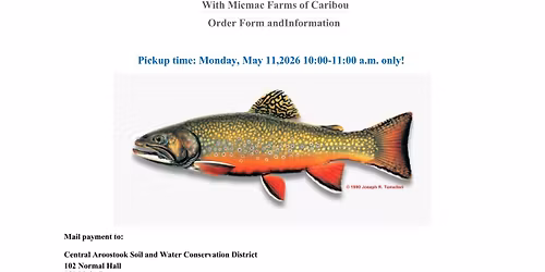 2026 Brook Tout Sale