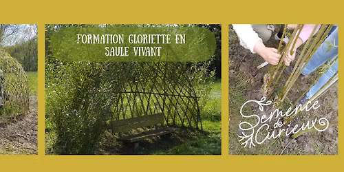 Formation en saule vivant - r\u00e9alisation d'une gloriette