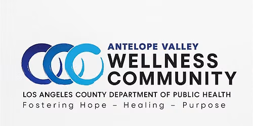 Free Digital Skills Training Session at DPH X DCFS Antelope Valley