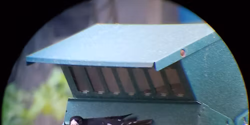 Irvine Nature Center will present on \u201cWoodlands and Wildflowers\u201d