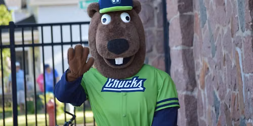 Autism Society of Central Wisconsin Outing - Wausau Woodchucks Baseball Game 
