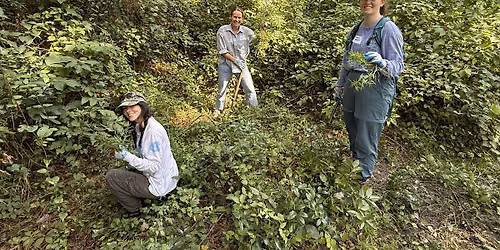 Help Us Groom the Nags Head Woods ADA Trail!