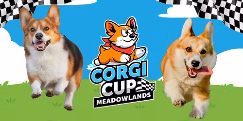Corgi Cup