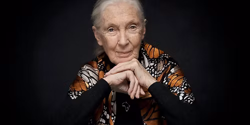 Inspiring Hope Through Action: Remembering Jane Goodall