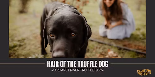 Hair Of The Truffle Dog
