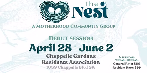 The Nest: A Motherhood Community Group