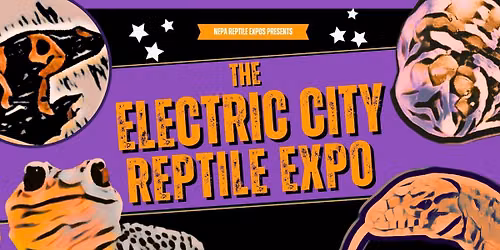 The Twelfth Electric City Reptile Expo