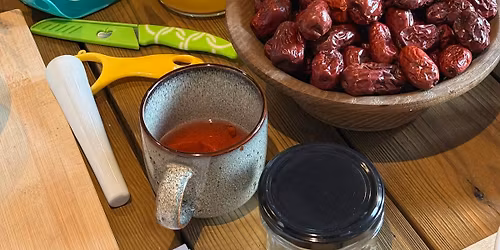 Zio\u0142owy Dzie\u0144 Kobiet w Zielonej Przystani