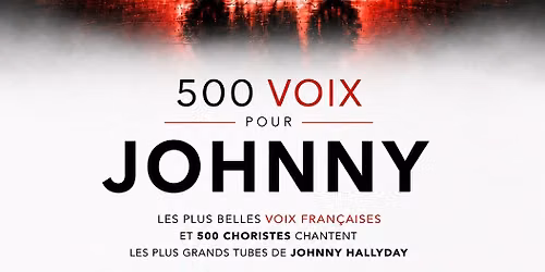 500 Voix pour Johnny - Z\u00e9nith Toulouse M\u00e9tropole - Toulouse (31)
