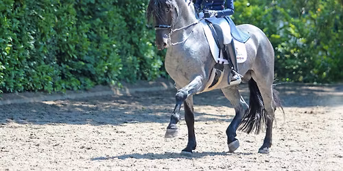 \u203c\ufe0fVOL\u203c\ufe0fClinicdag van Jolanda Adelaar