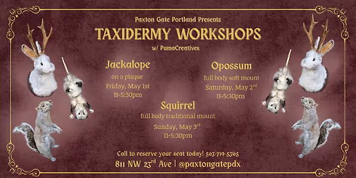 Taxidermy Workshops at Paxton Gate Portland with PumaCreatives