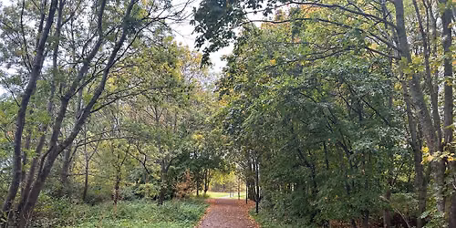 Bulltofta parkrun