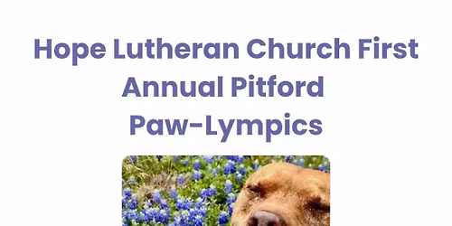 Pitford Paw-Lympics