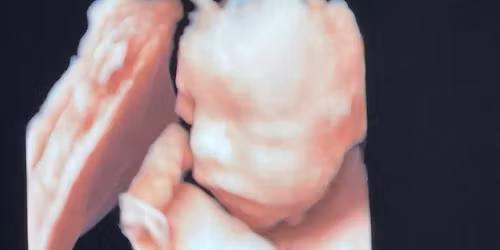 Sarah's and Daniel's babyshower 