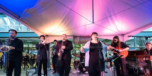 Summer Nights Concerts - GrooveBot