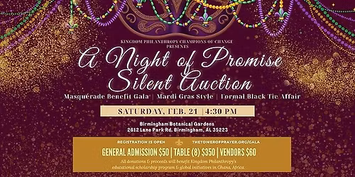 A Night of Promise Silent Auction Benefit Gala