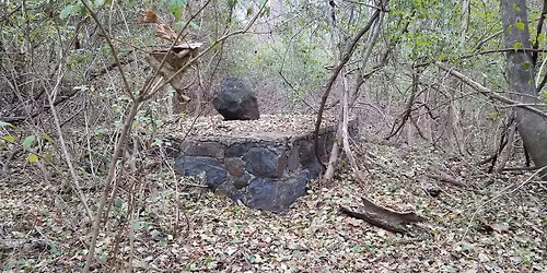 Ruins and History Hike: Indian Springs Farm