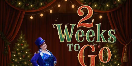 Cirquoise Christmas spectacular