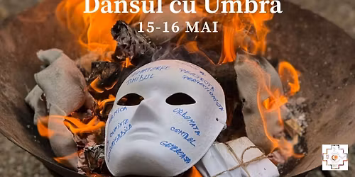 Dansul cu Umbra - Drumul spre propria lumin\u0103